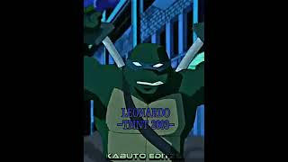 Leonardo (TMNT 2003) vs Raphael (TMNT 2012) | TMNT