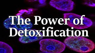 The Power Of Detoxification For Cellular Rejuvenation