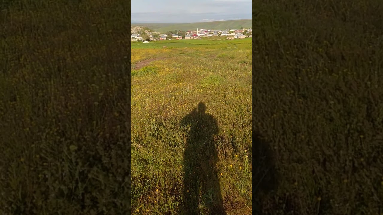 Muş Malazgirt Bostankaya köyü