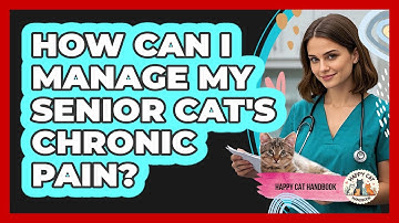 How Can I Manage My Senior Cat
