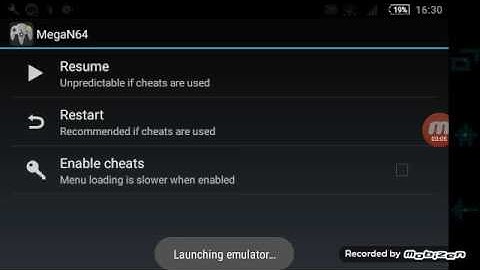 Paper Mario "Floating Point Exception" on a N64 emulator