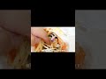 【閲覧注意】ラーメンまみれになるフクロモモンガ#shorts
