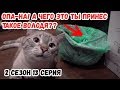 НОВЫЙ ГАНОМАГ ДЛЯ КОПА!ПЕРВЫЙ СТАЛЬНОЙ ШЛЕМ!Коп по войне.Окопные истории.2 Сезон.13 Серия