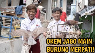 TANTANGAN BERBURU BURUNG MERPATI DI PASAR! OKEM JAGO BANGET