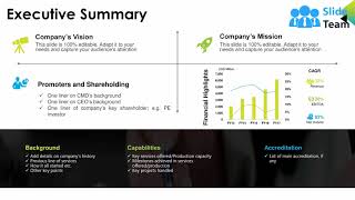 Executive Summary Ppt Presentation Examples