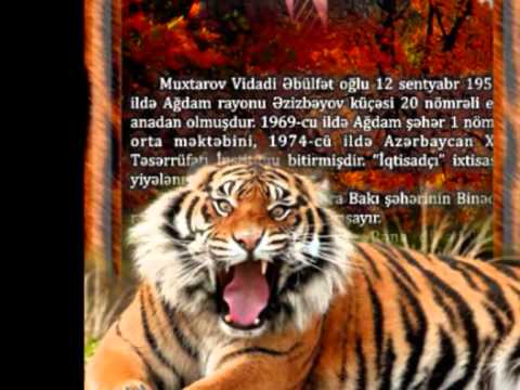 SHAIR VIDADI AQDAMLI* VETEN HESRETI *3-CU HISSE