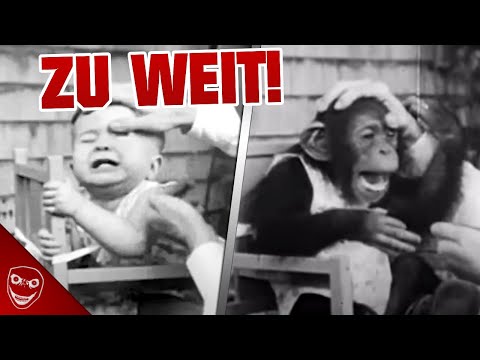 Video: Was ist das Gegenteil von Affe?