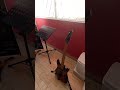 Pos porque querría salir de #casa teniendo #guitarras 🥴🥴 #humor