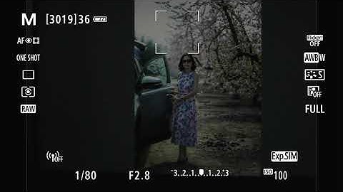 Canon EOS RP - What Is Exposure Simulation & When Not To Use It