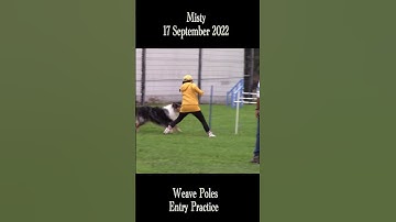 Misty Weave Pole Entry Practice #2 17Sept22