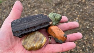 I Found My First Montana Agates and Petrified Wood!