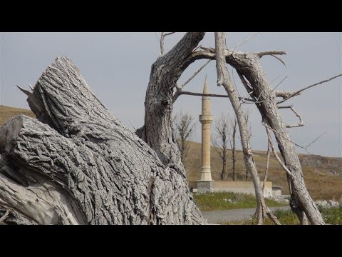 Kapakları açılan Kars Barajı’nda ilginç görüntüler