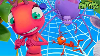 Joey's Spider Web Dilemma 🕸️ Cartoons For Kids | Antiks Full Episodes | After School Club
