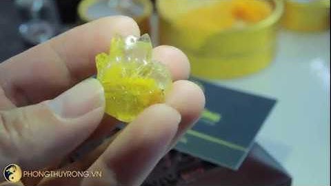 Hồ Ly thạch anh tóc vàng cực đẹp