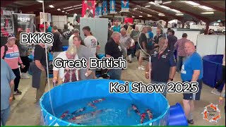 Download Lagu BKKS Great British Koi Show 2025 MP3 Download Lagu BKKS Great British Koi Show 2025 MP3