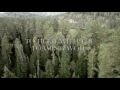 Caoimhín Víðarr Official Lyric Video Caoimhín Víðarr Official Lyric Video