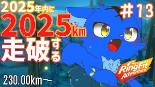 【Vtuber】ぬめゲコらいふ ２０２５ｋｍマラソン １３日目 230.00km～〔リングフィットアドベンチャー〕