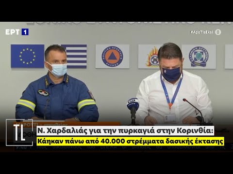 Ν. Χαρδαλιάς για την πυρκαγιά στην Κορινθία: Κάηκαν πάνω από 40.000 στρέμματα δασικής έκτασης