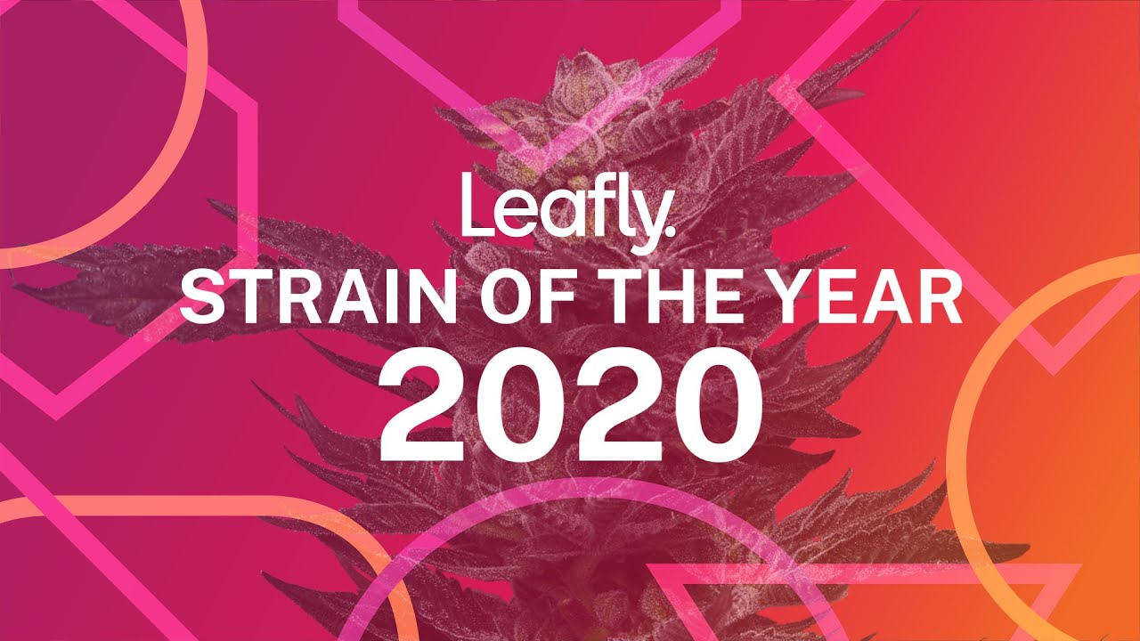 Runtz is Leafly Strain of the Year for 2020