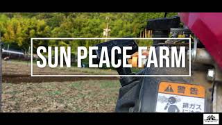 Sun Peace Farm #ネギ農家　＃農家　＃農業