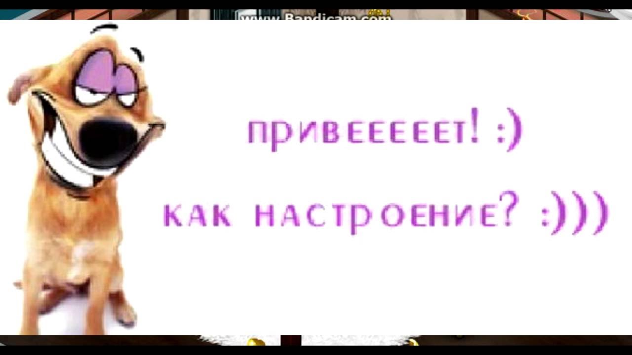 Как создать привет. Как настроение. Как настроение картинки. Привет как настроение. Как дела как настроение картинки.