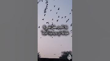سورة الأنعام: 165