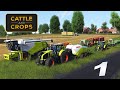 Cattle and Crops mit mods #01 Neustart #Landwirtschaft Simulator cattleandcrops Gameplay deutsch