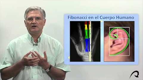 Algoritmo "Serie de Fibonacci"