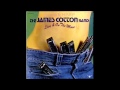 James Cotton Rocket 88 mp3