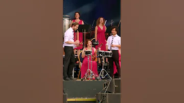 THE BONGOS ARE ON FIRE The Bongo Song Shorts The Maestro The European Pop Orchestra 