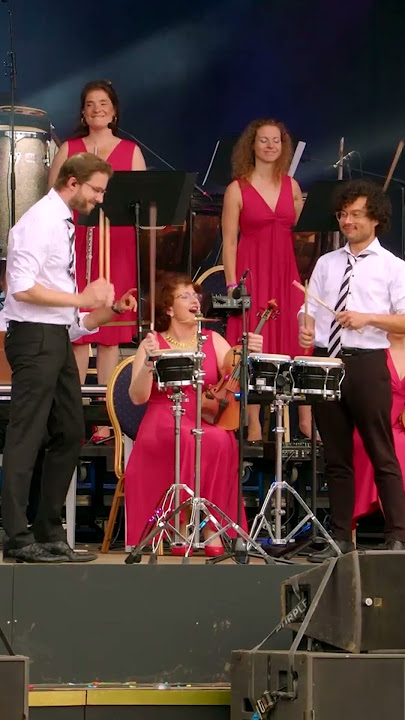 🥁🔥 THE BONGOS ARE ON FIRE: The Bongo Song #shorts - The Maestro & The European Pop Orchestra