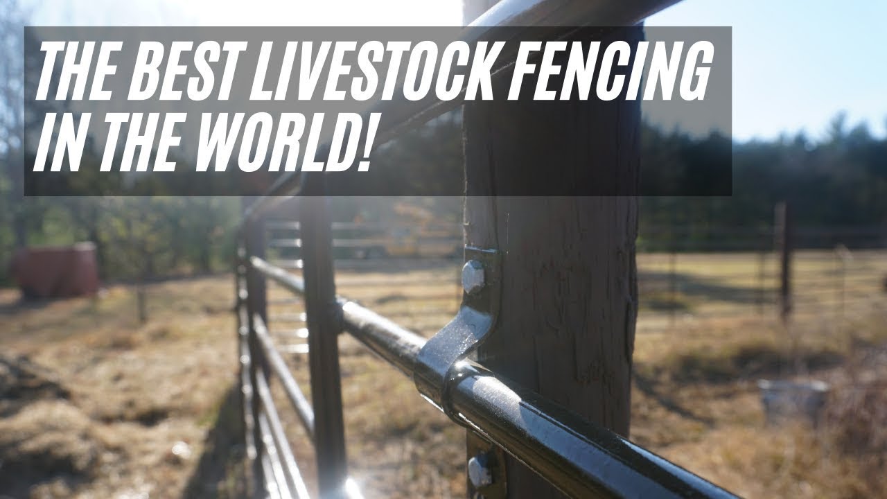 The BEST Livestock Fencing in the World!