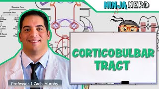 Neurology | Descending Tracts: Corticobulbar Tract