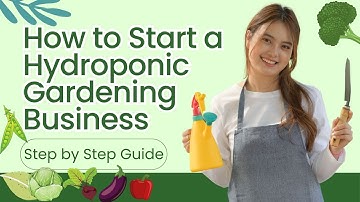 How to Start a Hydroponic Gardening Farming Business | Step-by-Step Guide 🌱 💸