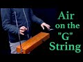 Bach - Air on the "G" String - Theremin Version 〰️〰️✊🏼