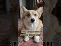 When you try to sing and your dog is your biggest critic 🐶 #funnydog #funnypuppy #coldplay