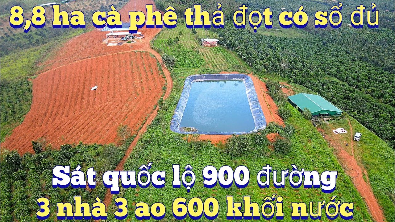Cần nhượng 8,8 ha cà phê tiêu 3 căn nhà cách thành phố biển 90 km