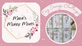 Tiny Savings Challenges | Two Weeks' Worth $$ | Low Income Cash Budgeter | Little Amounts Add Up |