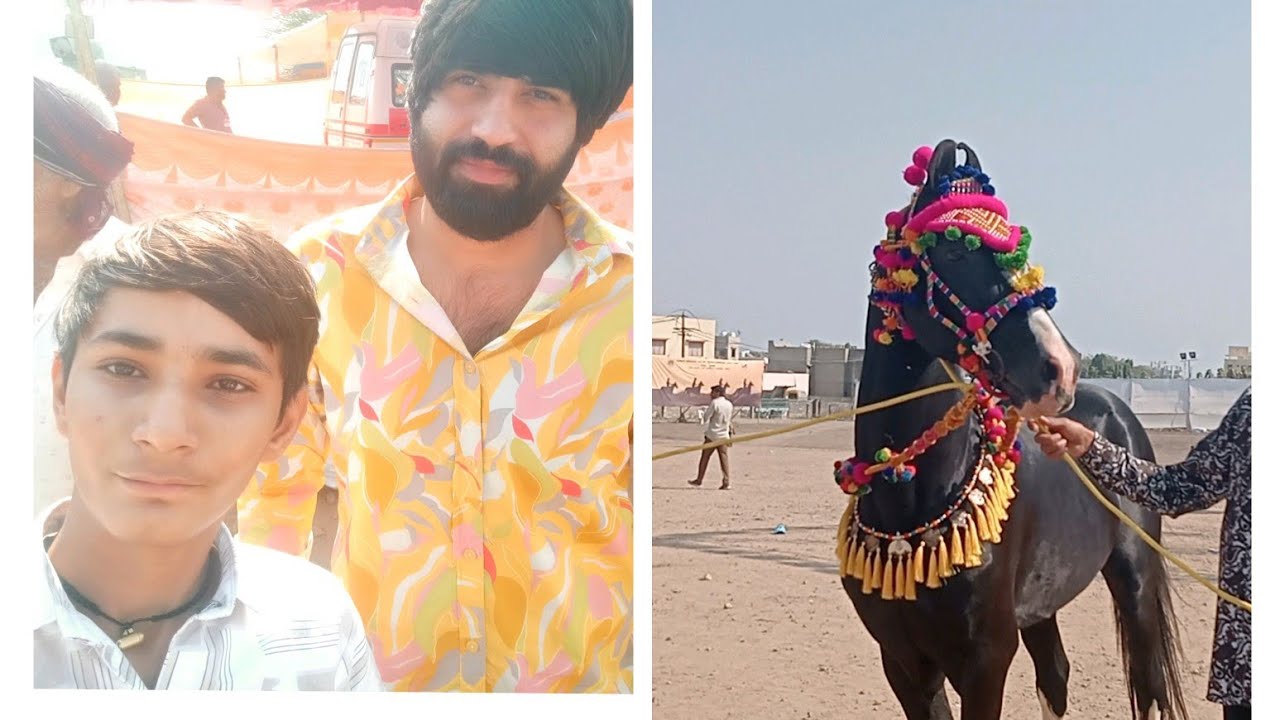 Aaje to aapde mayur khatana  ne madiya / ghoda jova ni to moj aavi gay