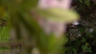 Celebrity Investigators warn seniors targeted in contractor scam Wealth