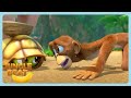 Jungle Beat Turtle Friend WildBrain Happy Cartoons For Kids 