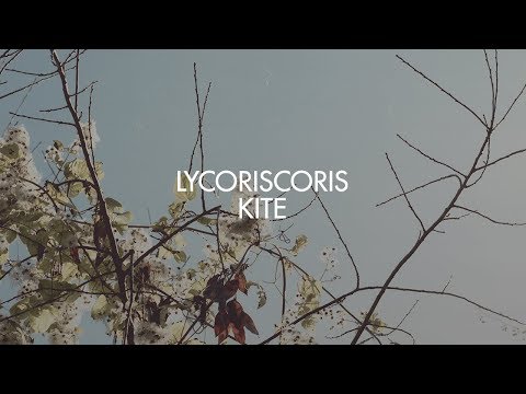 lycoriscoris — Lycoriscoris - Kite
