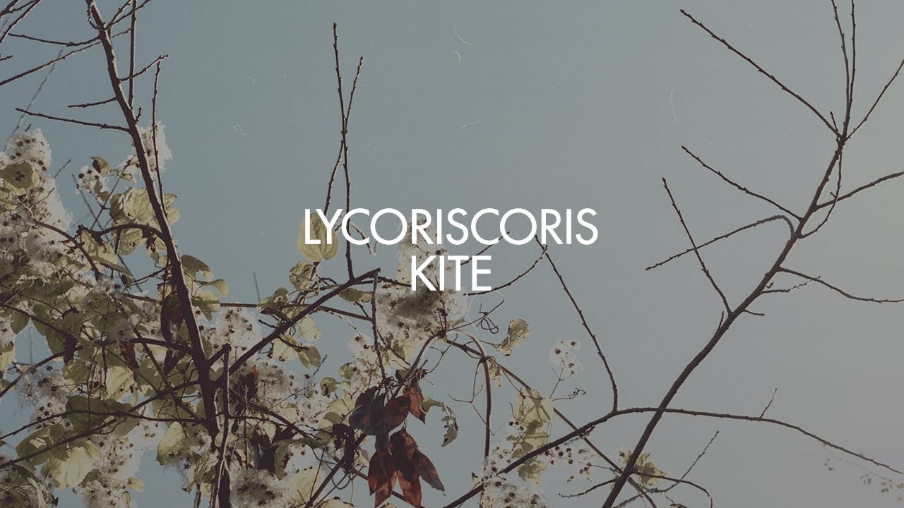 Watch Lycoriscoris - Kite on YouTube Watch Lycoriscoris - Kite on YouTube