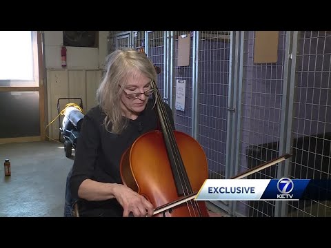 Video: Nebraskas Cellist gūst pārsteidzošu reakciju no patvēruma suņiem