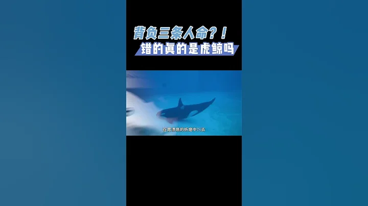 背负3条人命，36岁抑郁而终，这是世界上最著名虎鲸的自述 #动物 #自然 - 天天要闻
