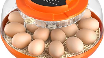 Onsju 18 Egg Incubator with Automatic Egg Turning and Humidity Control, Incubators for Hatching Eggs