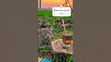 آية الكرسي كاملة بصوت القارئ إسلام صبحي #قرآن_كريم #راحة_نفسية