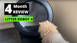 Litter Robot 4 Review- After 4 Months! by Persian Cat Corner 269 views 7 months ago 3 minutes, 34 seconds