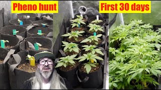 Famous Growing New Strains - The First 30 Days of my Cannabis Grow w/ Chad Westport : Spider Farmer G8600 Net Worth