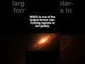 Cosmic Cauldron: Birthplace of New Stars